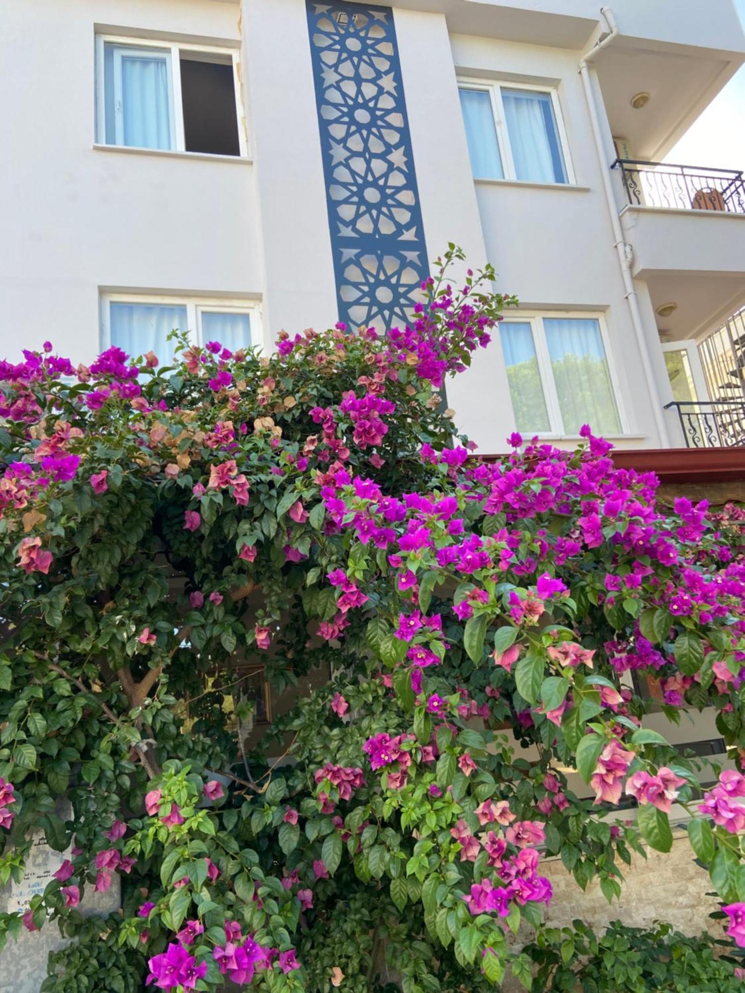 Serenity Suites Hotel Antalya Zewnętrze zdjęcie